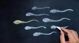 浙江省宁波市正规的助孕公司排名前十公布，附联系电话及机构地址